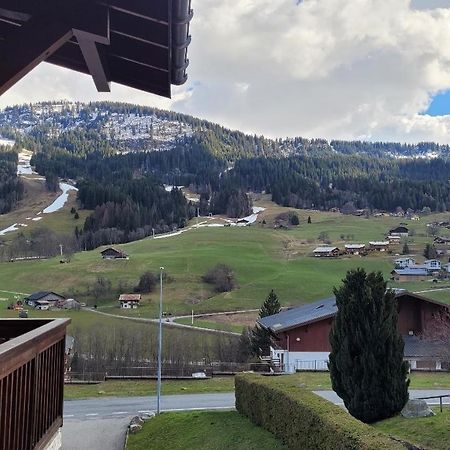 Appartement 1 Chambre Avec Garage Praz-sur-Arly Extérieur photo